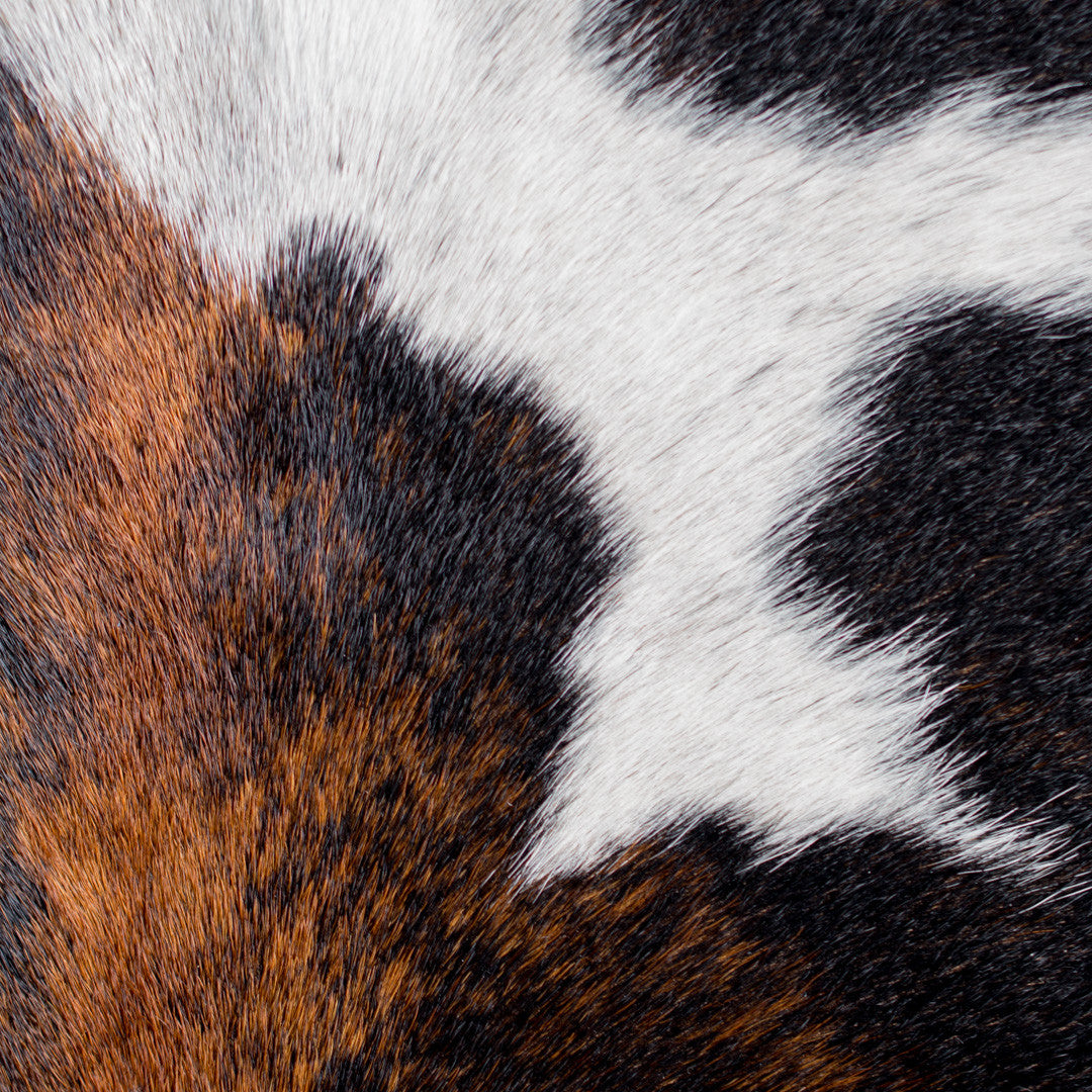 Cowhide Area Rug by Capra Leather