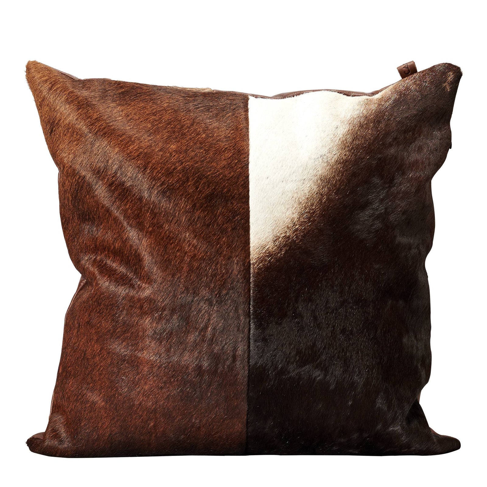 Dual Cushion Pillow 1