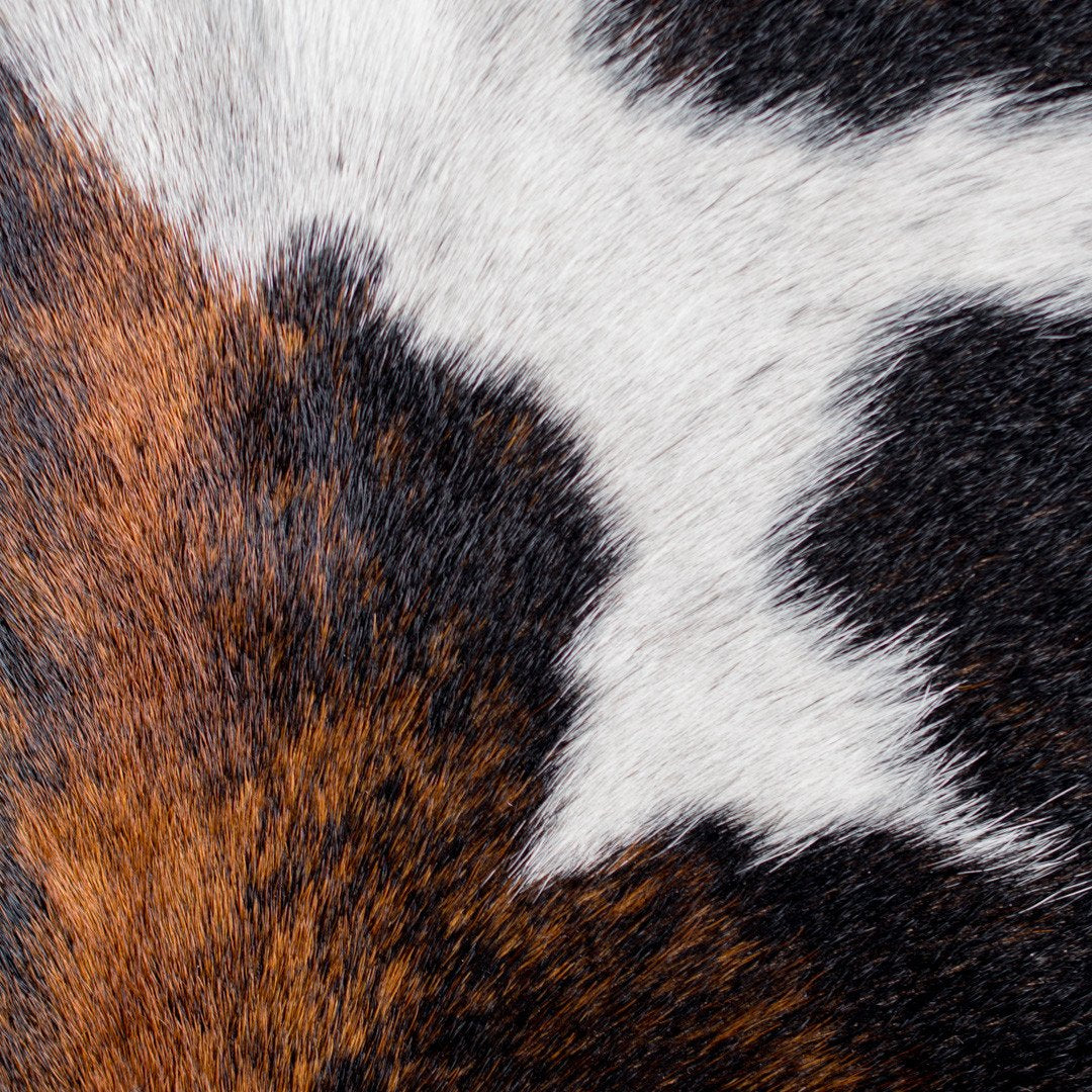 Texture close up. Black and Caramel Large Cowhide Rug, Cowhide Leather Rugs, Home Décor Ideas, Large Rugs, White, Cow hide.Home Hair on hide Floor