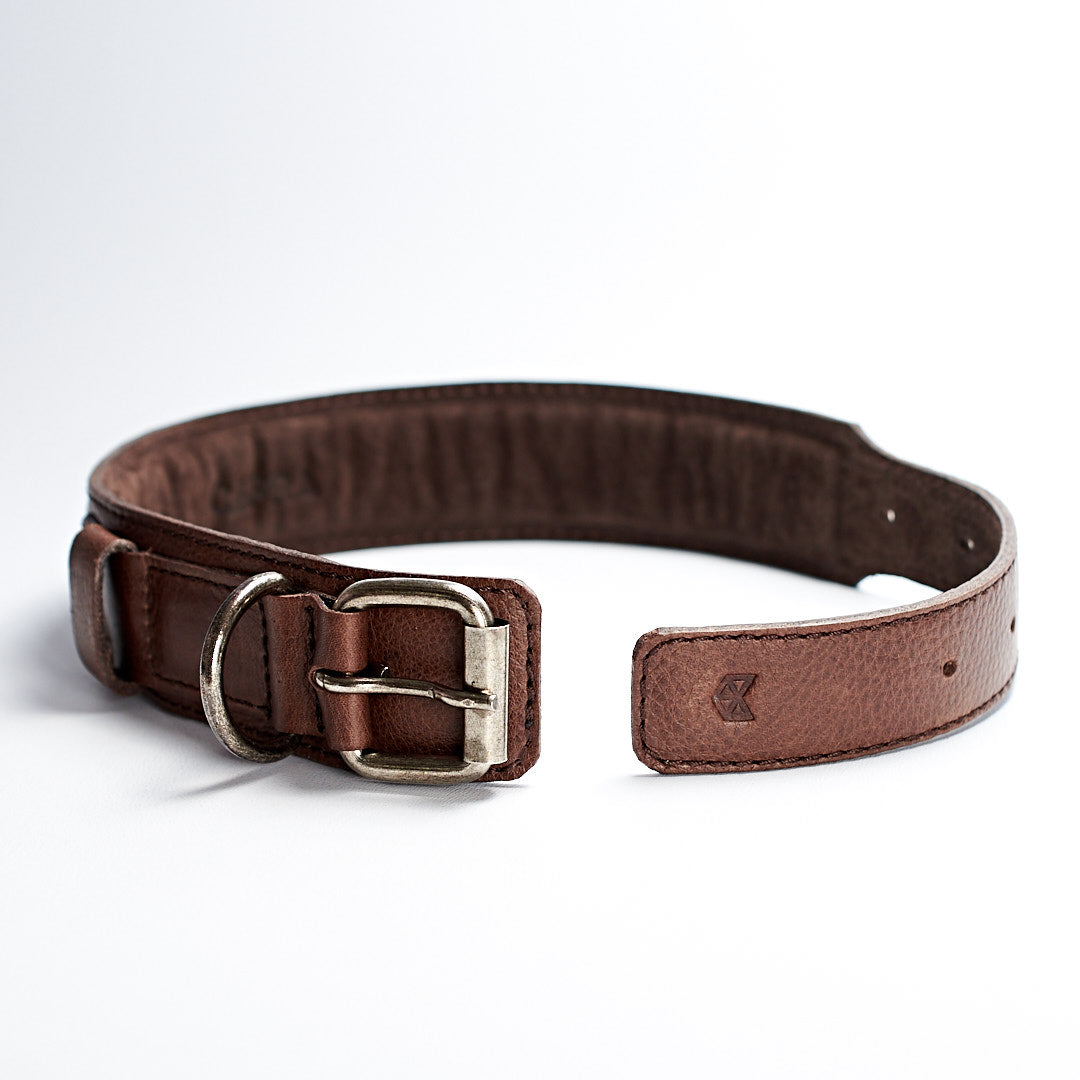 Engraving detail handmade minimal dark brown leather padded dog collar by Capra Leather.