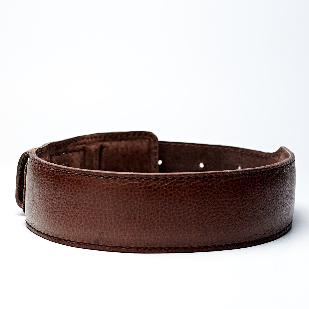 Handmade minimal dark brown leather padded dog collar by Capra Leather.