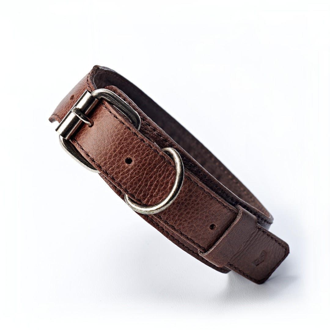 Handmade minimal dark brown leather padded dog collar by Capra Leather.